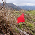Pto Azkarate-Mendaro (207)
